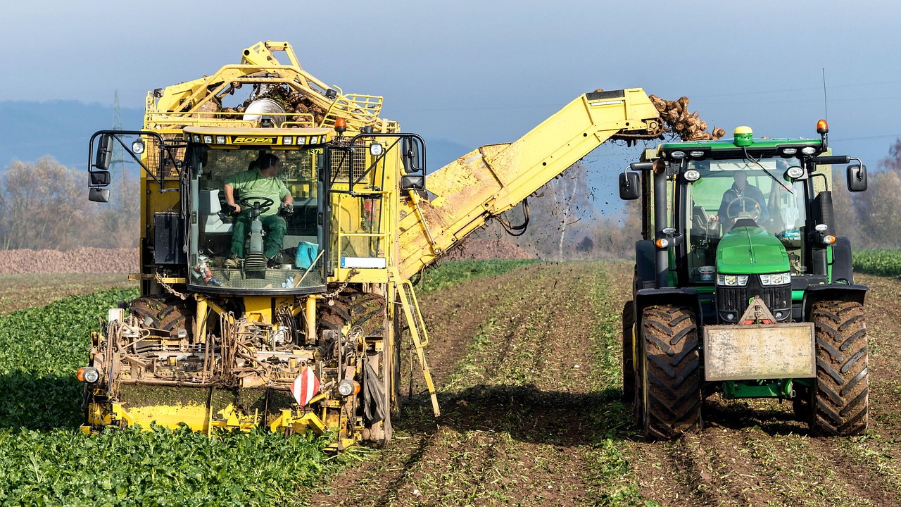 IndustrialFarming Industrial Farm Equipment Harvesting Turnips